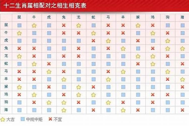 属龙和什么属相最适合婚配？