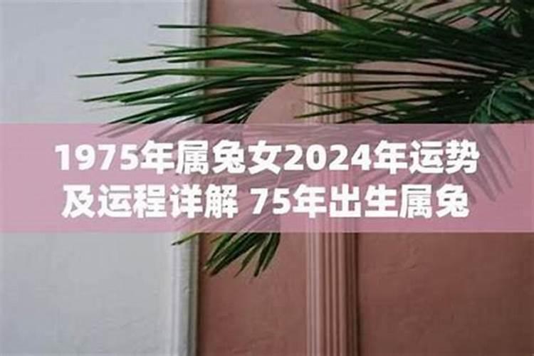 1975年属兔2026年运势运程