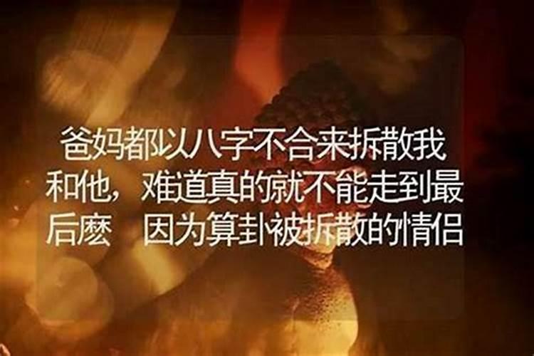 互相喜欢的人因为八字不合