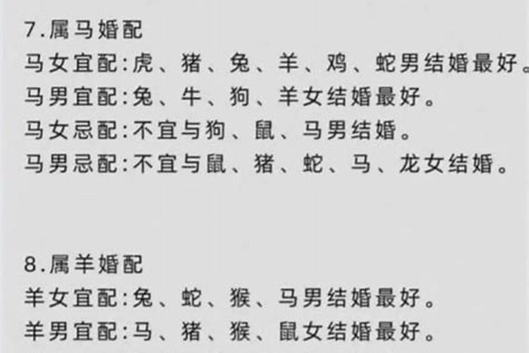 男属羊女属狗婚姻运势如何？