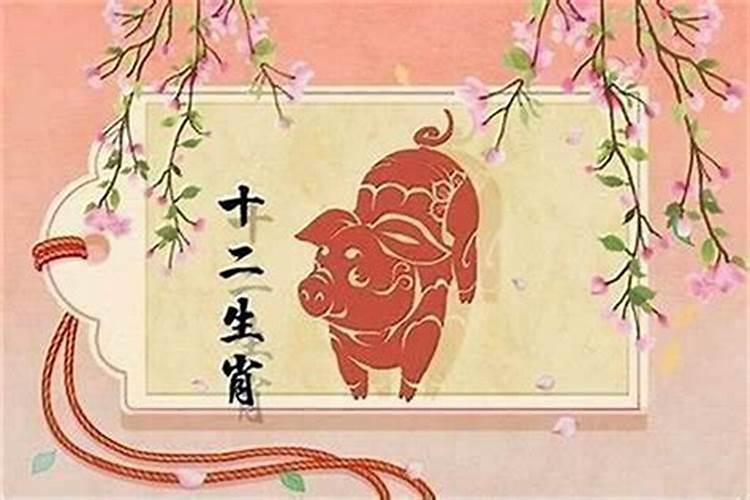属猪7月运势如何？