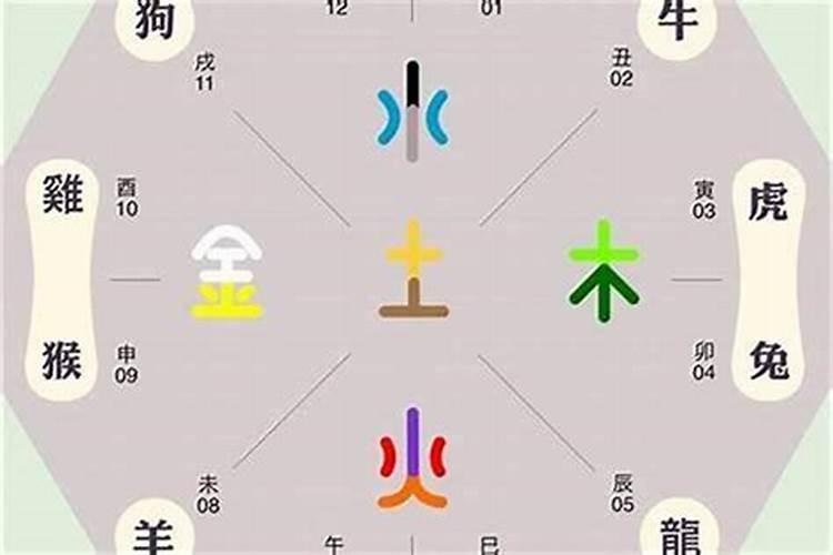 八字怎么看婚姻五行与属相？