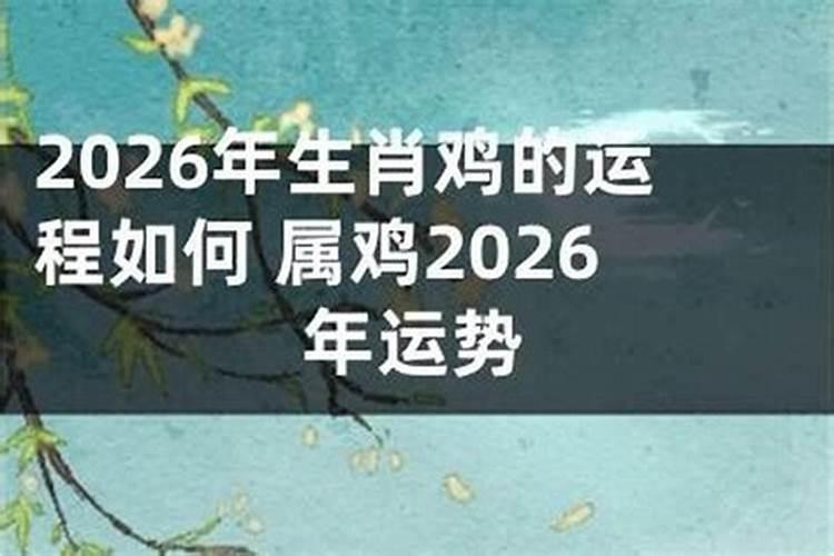 属鸡的人在2026年的运程怎么样？