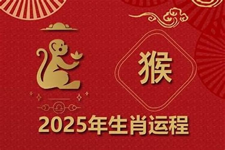 92年的猴2026年运势