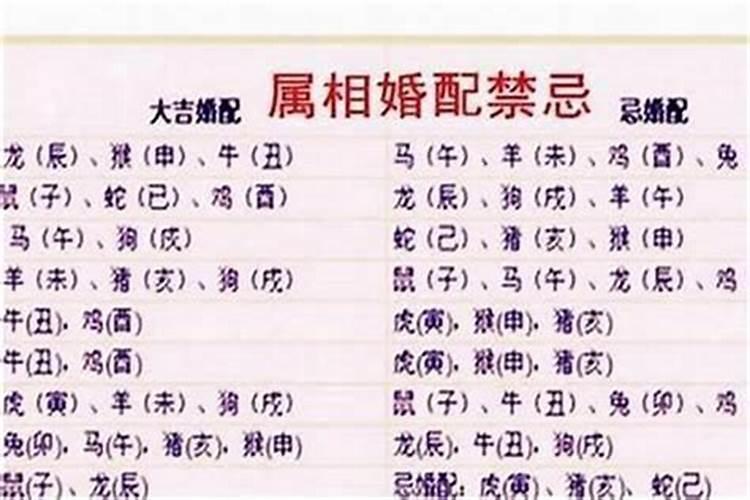 属相合婚一点都不准好不好？