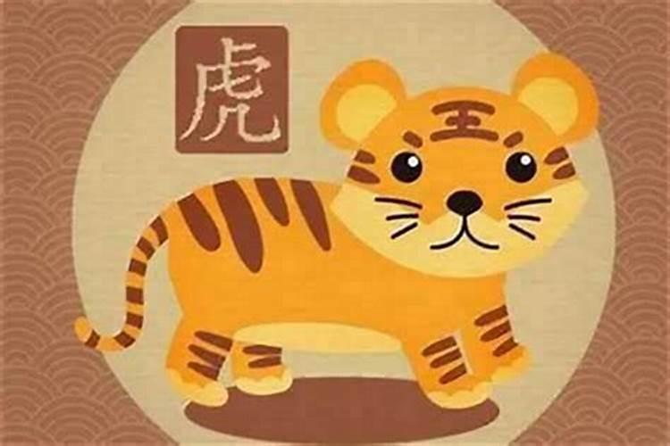 本命年的人运气不好吗属虎？