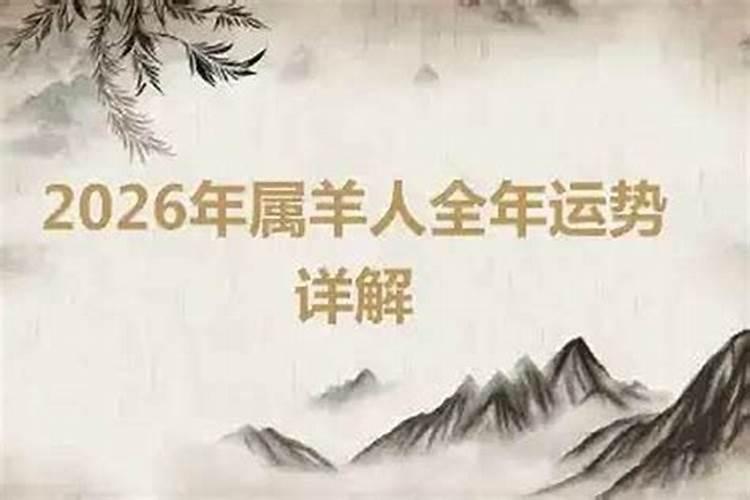 羊运势2026年运程