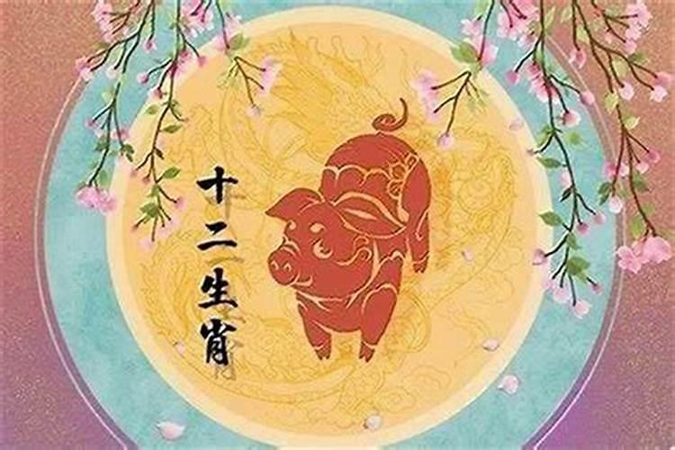 1995年属猪男2026年的运势