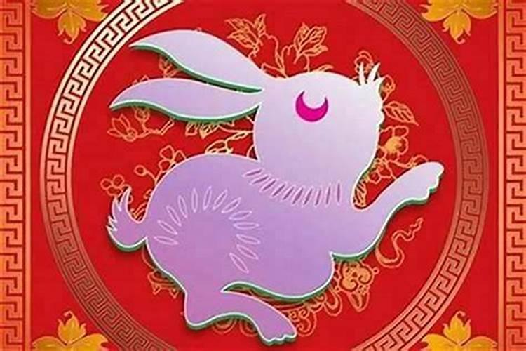 属兔的和什么属相合婚？