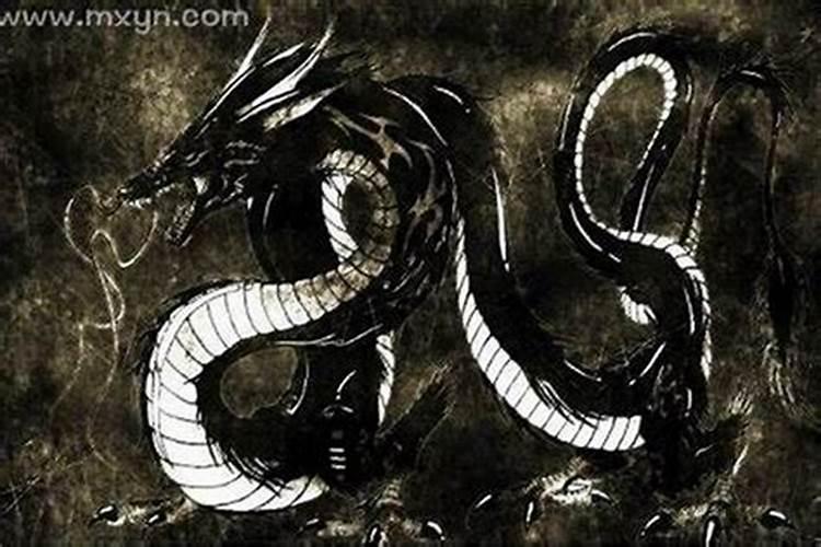 梦见黑龙是怎么回事？