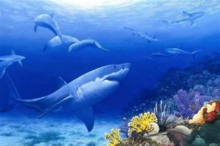 梦见漂亮的大海是什么意思？