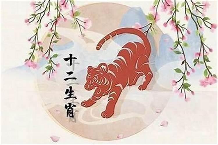正月初二的虎的命运