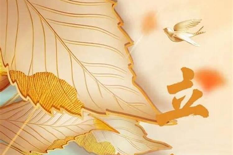 8月8号下午立秋好不好？