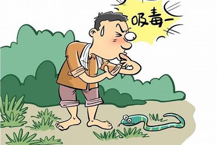 梦见好多蛇是什么预兆很害怕被咬？