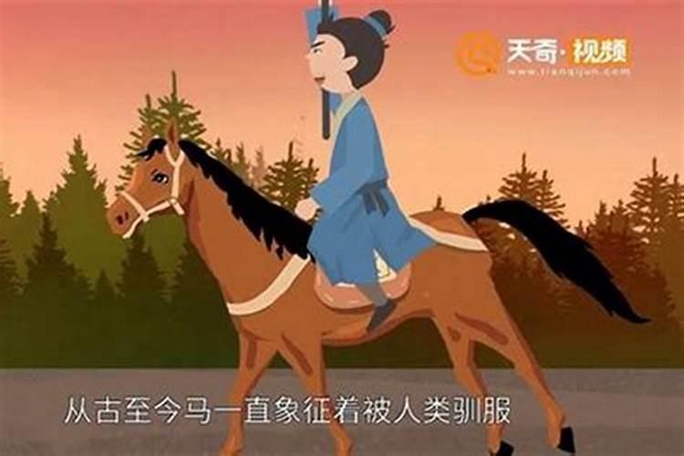 梦见马有危险没有死