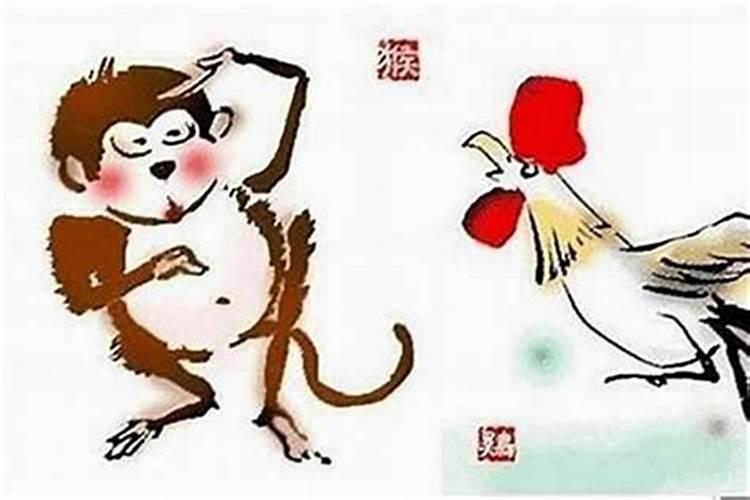 属相猴和牛婚配可以吗？