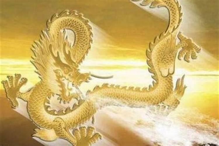 属免的和属龙的合婚吗？