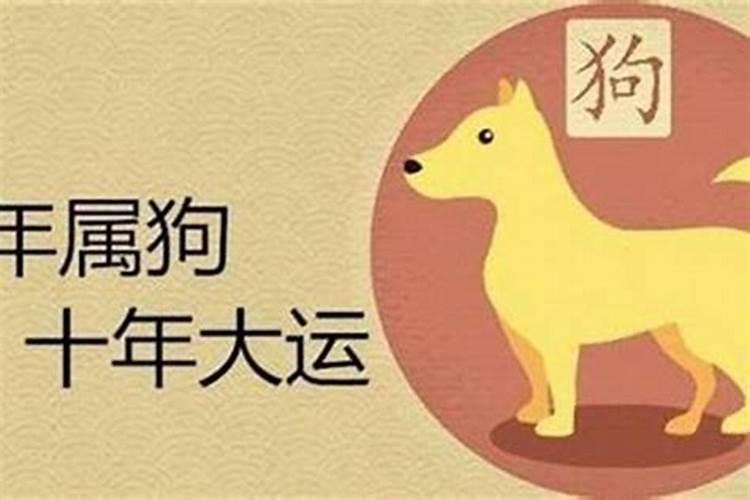 今年属狗人的运程