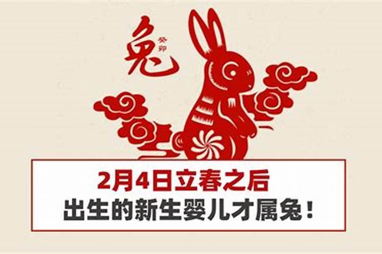 立春当天出生属兔还是虎？