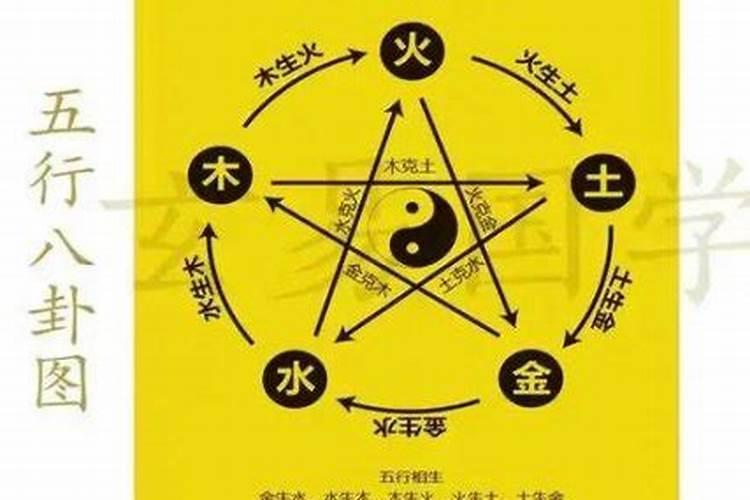 属蛇的和属鼠的八字合吗？
