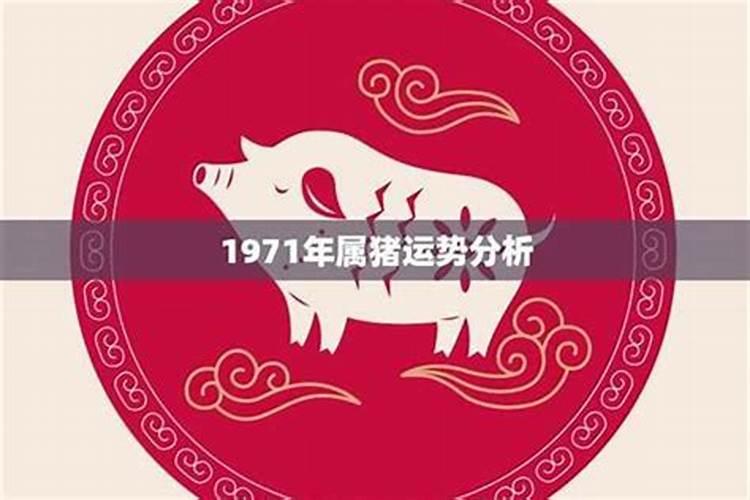 1971属猪人一生运程