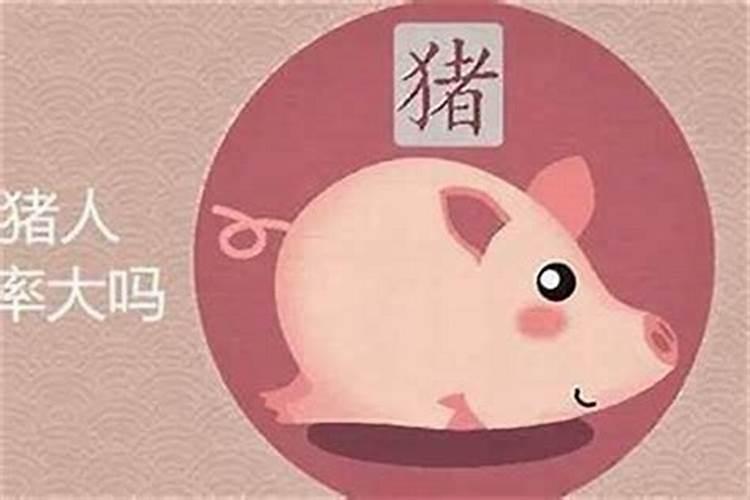 属猪的2026年的运势及运程