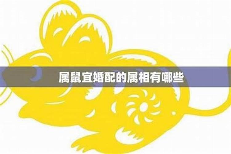鼠与哪些属相婚配？