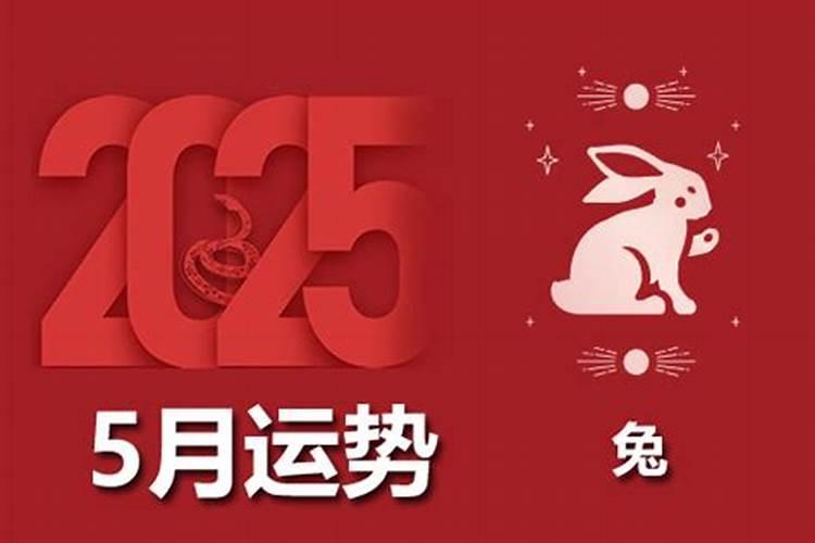 属兔人农历5月运势如何？