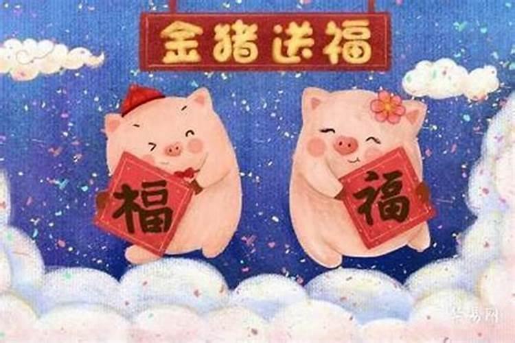 属猪和属什么不合婚？