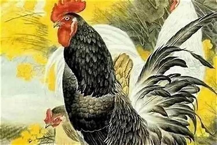 克太岁什么意思属鸡？