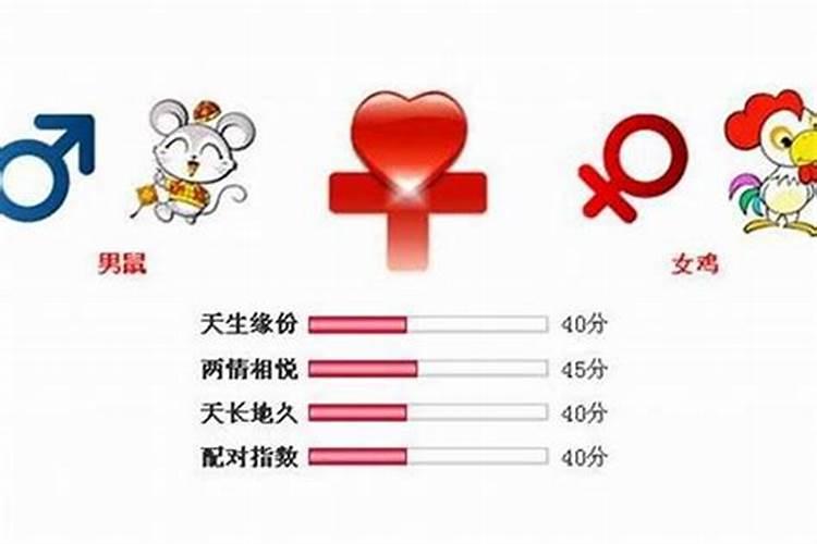 男鼠女兔合婚吗？