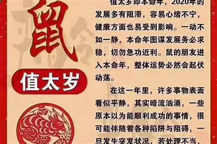 本命虎值太岁是什么意思啊？