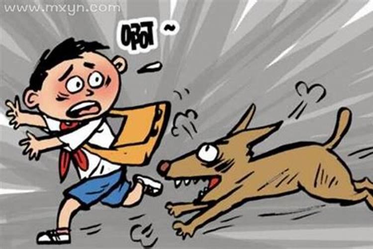 梦见被狗追赶但没咬到