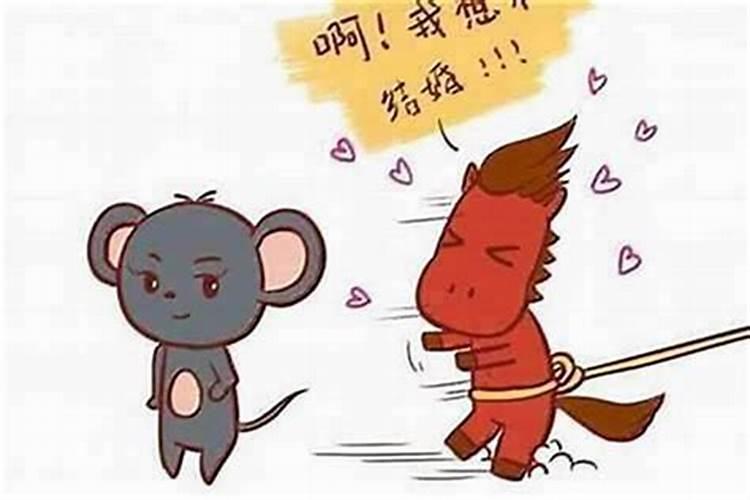 男鼠女马属相婚配好吗？