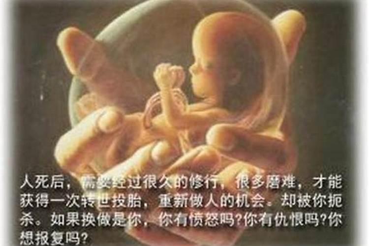 妈妈写给堕胎婴灵的信