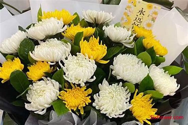 重阳节上坟用几朵菊花？