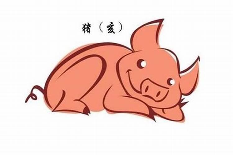 生肖猪卯时出生48岁运程