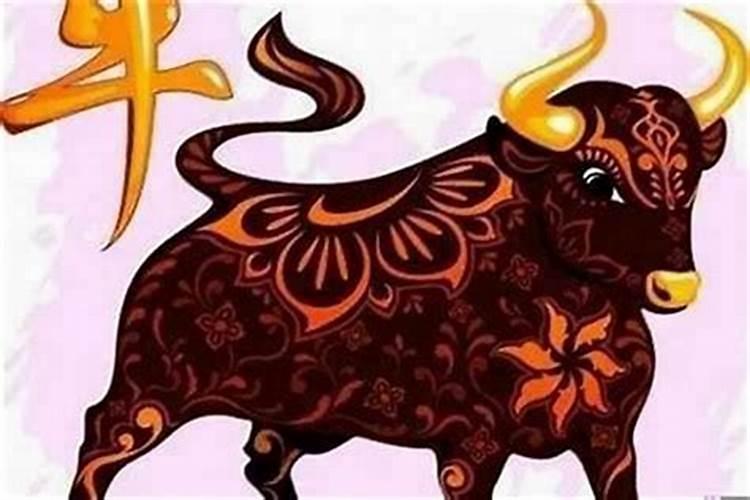 属牛刑太岁什么时候能度过生日？