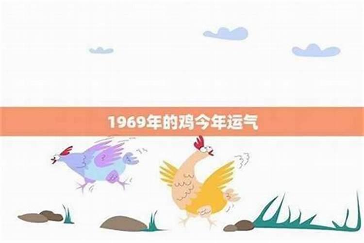 1969在2026年的运程如何？