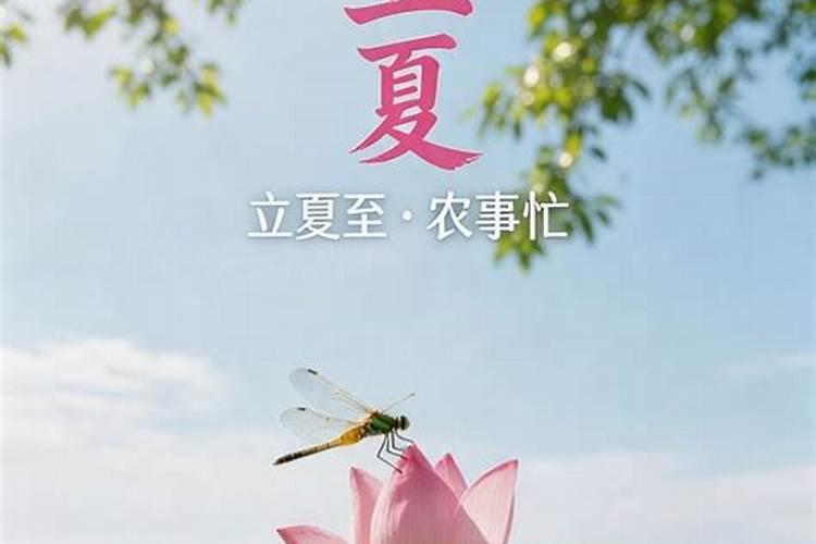 立夏农民注意什么？