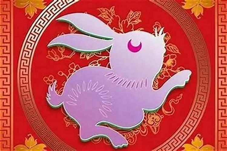 属兔1987今年运势