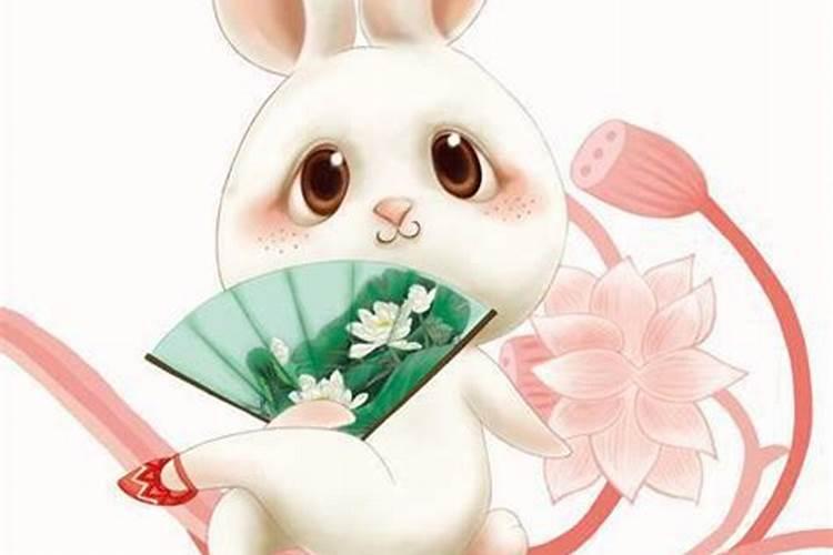 女马男兔合婚吗？