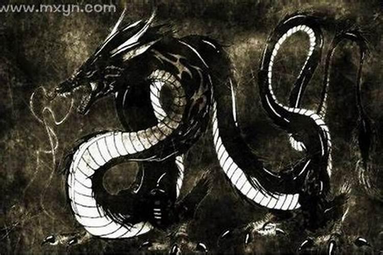 怀孕梦见黑龙预示什么预兆？