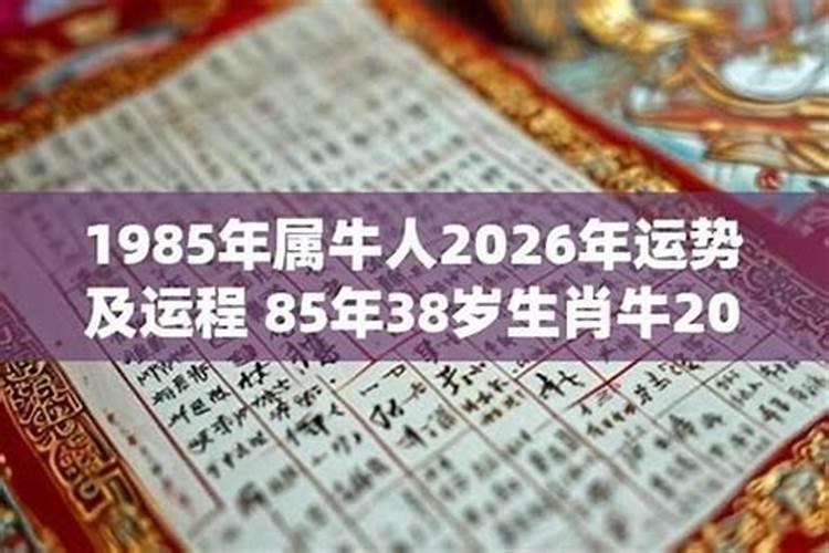 1985年三月十一2026年的运程