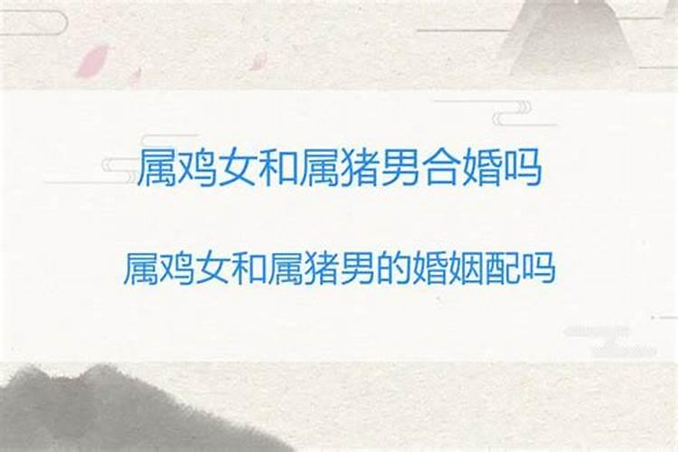 属鸡女和属猪男合婚吗？