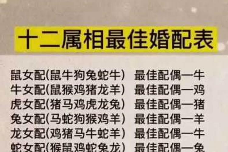 婚姻属相八字配对