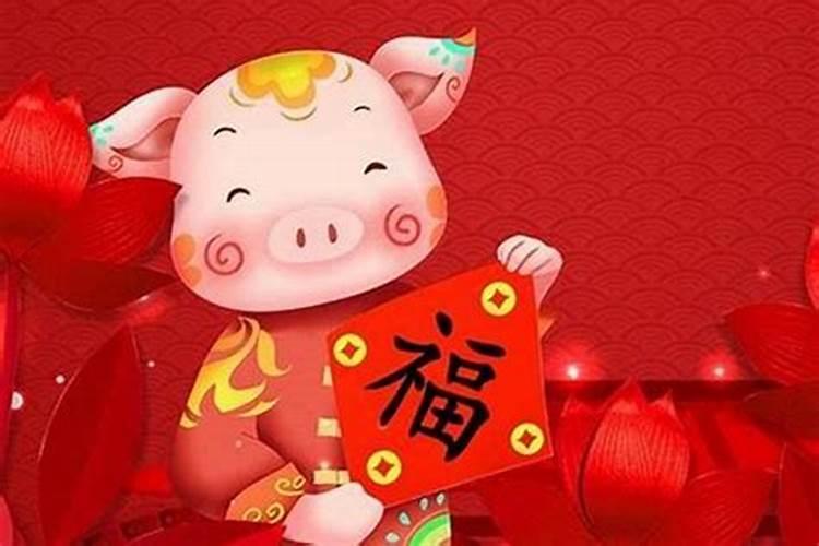 今年95年猪的运势