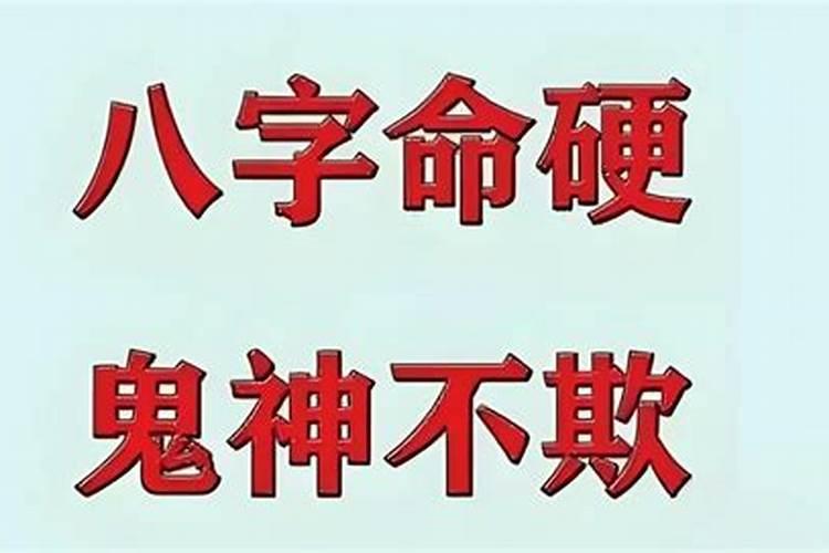 大难不死的都是什么命？