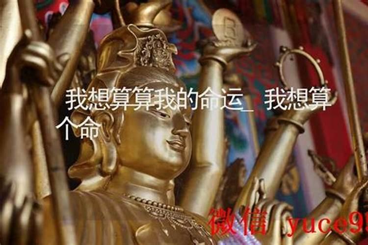 算算我一生的命运