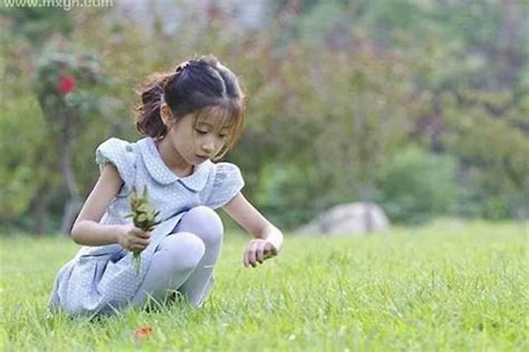 梦见姐姐生了个天才女孩什么意思？